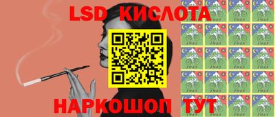 apvp Ярославль