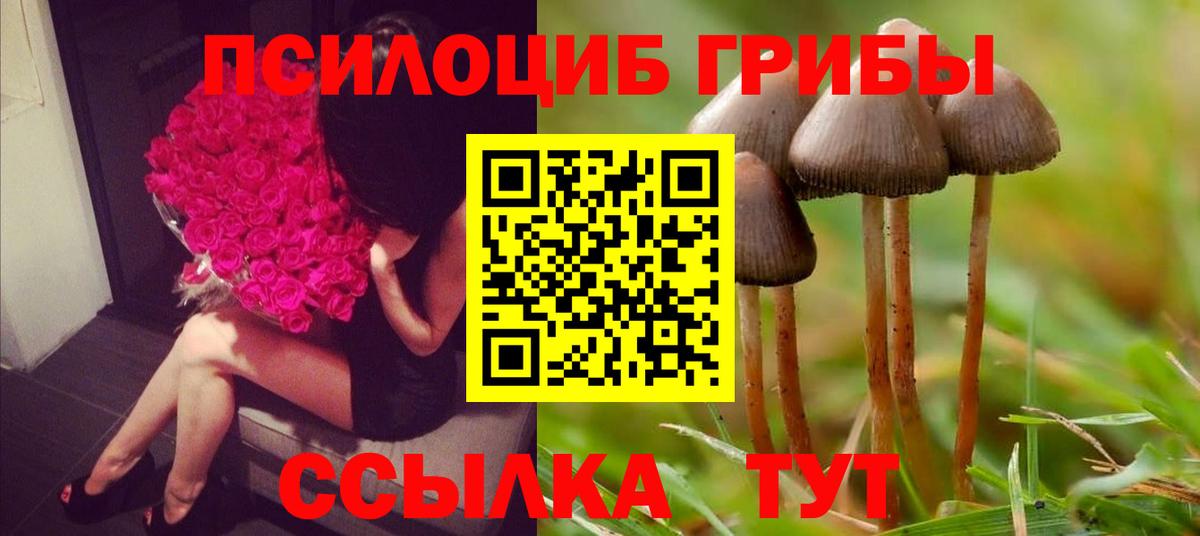 цена наркотик  Галлюциногенные грибы Psilocybe  Вход с VPN  Галлюциногенные грибы Psilocybine cubensis  Анапа 