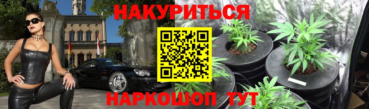 Шишки марихуана Bruce Banner  Каннабис OG Kush  Конопля план  Бошки марихуана MAZAR  Вход с VPN  Анапа 